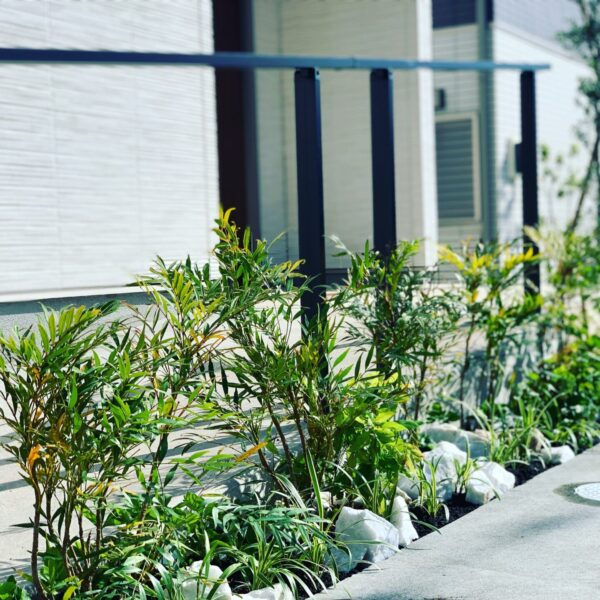 殺風景だった玄関周りを都会的なグリーンスペースに～静岡県三島市～